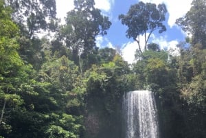 2-Day Paronella Park & Tablelands Tour+Cape Tribulation Tour