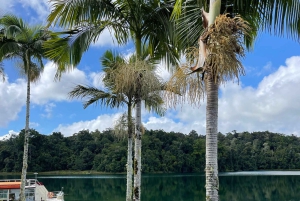 Excursão de 2 dias ao Paronella Park & Tablelands + Excursão a Cape Tribulation