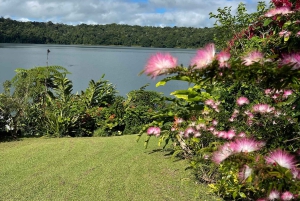 Excursão de 2 dias ao Paronella Park & Tablelands + Excursão a Cape Tribulation