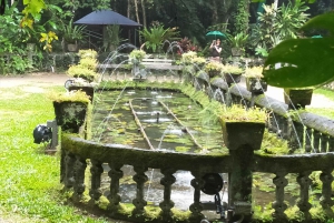 Excursão de 2 dias ao Paronella Park & Tablelands + Excursão a Cape Tribulation