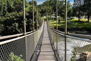 Excursão de 2 dias ao Paronella Park & Tablelands + Excursão a Cape Tribulation