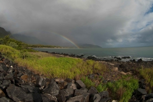 Excursão de 2 dias ao Paronella Park & Tablelands + Excursão a Cape Tribulation
