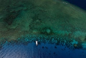 Paquete de 3 días Arrecife, Selva Tropical y Outback