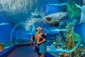 Aquarium Visit and City Sightseeing Tour with Lunch
