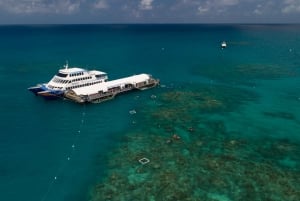 Arlington Reef Pontoon with Snorkeling