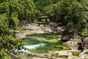 Atherton Tablelands: Lakes, Waterfalls, Rainforest Day Tour