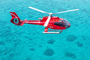 Barrier Reef Snorkeling with Helicopter, Cruise or Both