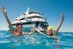 Barrier Reef Snorkeling with Helicopter, Cruise or Both