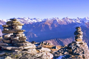 Il meglio di Cairns: Tour privato a piedi con un abitante del luogo
