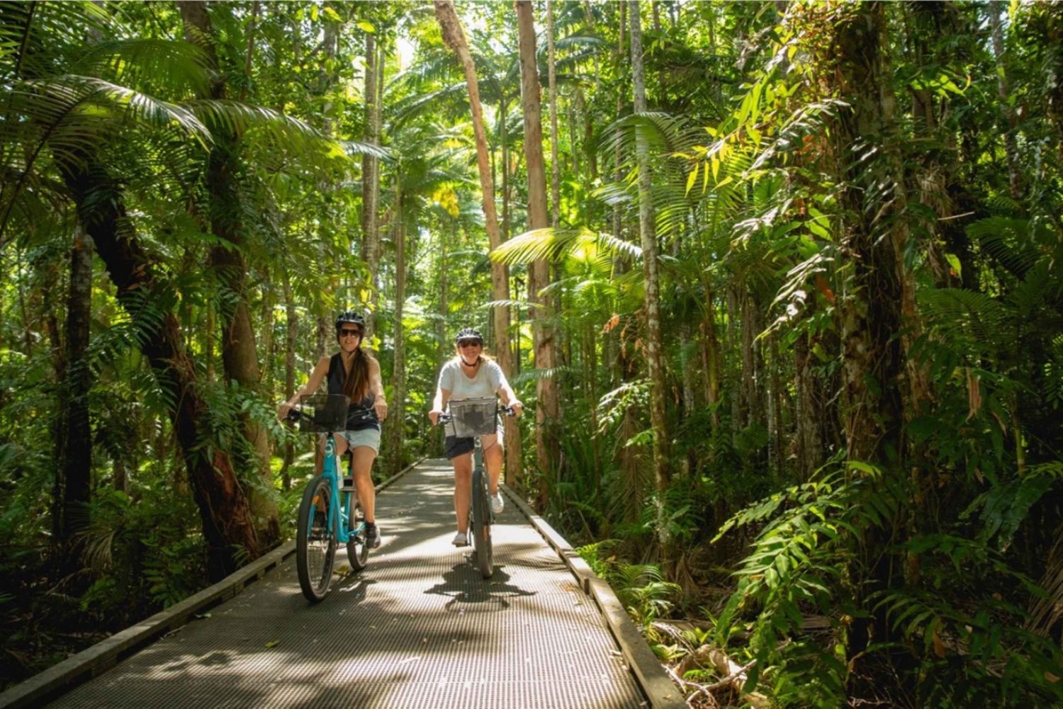 Cykeluthyrning Cairns: Stad, stränder eller regnskog