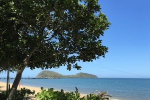 BIKE HIRE Cairns: City, Beaches, or Rainforest