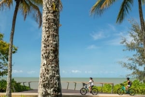 BIKE HIRE Cairns: City, Beaches, or Rainforest