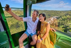 Brisbane to Daintree Whitsundays & Reef 9 Day Comfort Tour