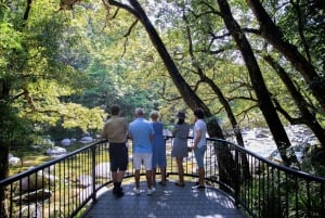 Tour comfort di 9 giorni da Brisbane a Daintree, Whitsundays e barriera corallina