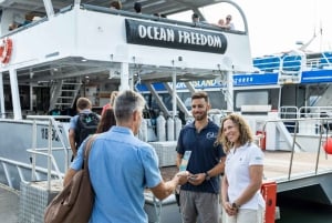 Tour comfort di 9 giorni da Brisbane a Daintree, Whitsundays e barriera corallina