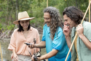 Tour comfort di 9 giorni da Brisbane a Daintree, Whitsundays e barriera corallina