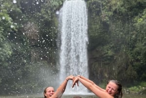 Cairns: 2-daagse tour naar de Atherton Tablelands en Cape Tribulation