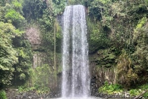 Cairns: 2-daagse tour naar de Atherton Tablelands en Cape Tribulation