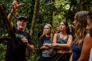 Cairns: 2-daagse tour naar de Atherton Tablelands en Cape Tribulation