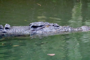 Cairns: 2-daagse tour naar de Atherton Tablelands en Cape Tribulation