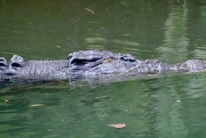 Cairns: 2-daagse tour naar de Atherton Tablelands en Cape Tribulation