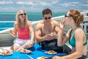 Cairns: 2-Day Great Barrier Reef and Fitzroy Island Tour