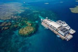 Cairns: 2-dages Barrier Reef Pontoon & Fitzroy Island Tour