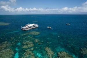 Cairns: 2-dages Barrier Reef Pontoon & Fitzroy Island Tour