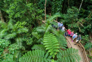 Cairns: 2-Day Daintree, Cape Tribulation & Outback Tour