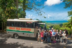 Cairns: Excursão de 2 dias pela Grande Barreira de Corais e Floresta Tropical Daintree