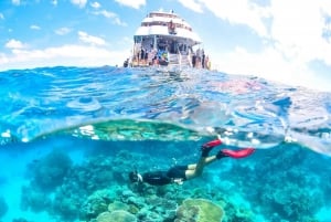 Cairns: 2-dagers rundtur i Great Barrier Reef og Daintree Rainforest