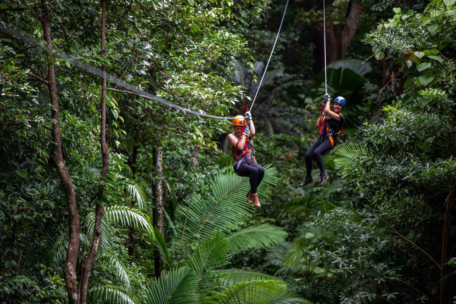 Cairns: 2 Tage Daintree & Riff-Erlebnis