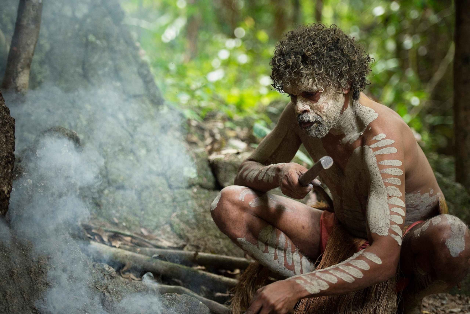 Cairns: 2 Tage Daintree & Riff-Erlebnis