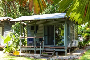 Cairns: 2 Tage Daintree & Riff-Erlebnis