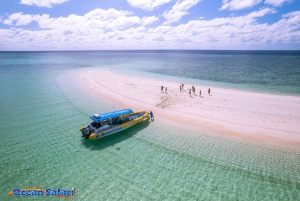 Cairns: 2 Tage Daintree & Riff-Erlebnis