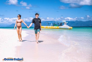 Cairns: 2 Tage Daintree & Riff-Erlebnis