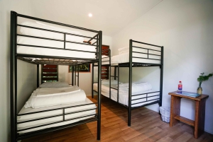 Cairns: 2 Tage Daintree & Riff-Erlebnis