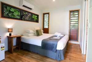 Cairns: 2 Tage Daintree & Riff-Erlebnis