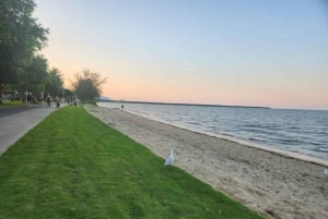 Cairns: 3 days - 4 nights Daintree, Kuranda, & Reef Cruise