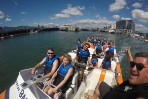 Cairns : Tour en bateau à réaction en 35 minutes