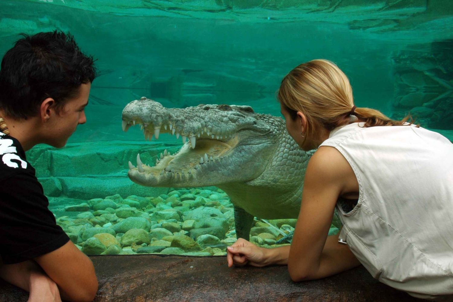 Cairns: 4 Attraction 7-Day Pass
