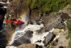 Cairns: 60 minute Scenic Flight Over the Reef & Rainforest