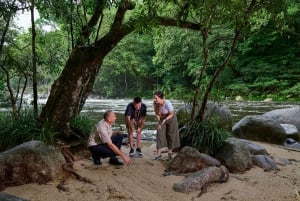 Cairns: Aboriginal Art and Culture Full-Day Trip with Lunch