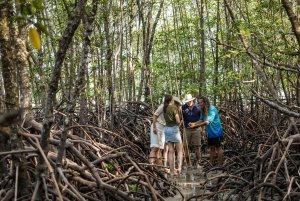 Cairns: Aboriginal Coastal Adventure & Mossman Gorge Tour
