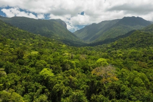 Cairns: Aboriginal Coastal Adventure & Mossman Gorge Tour