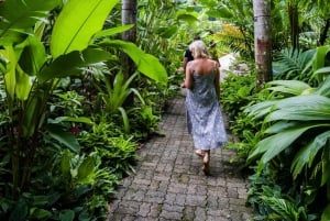 Cairns: City Sights Tour com cruzeiro guiado com jantar à noite