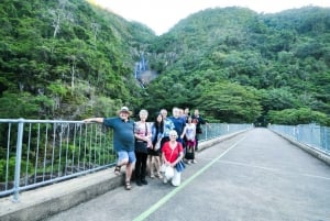 Cairns : Visite des curiosités de la ville avec dîner-croisière en soirée