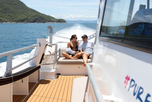 Cairns: All-Inclusive Great Barrier Reef Half-Day Snorkeling