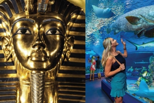 Cairns: Aquarium and Tomb of the Pharaohs Entry Ticket