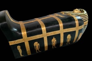 Cairns: Aquarium and Tomb of the Pharaohs Entry Ticket